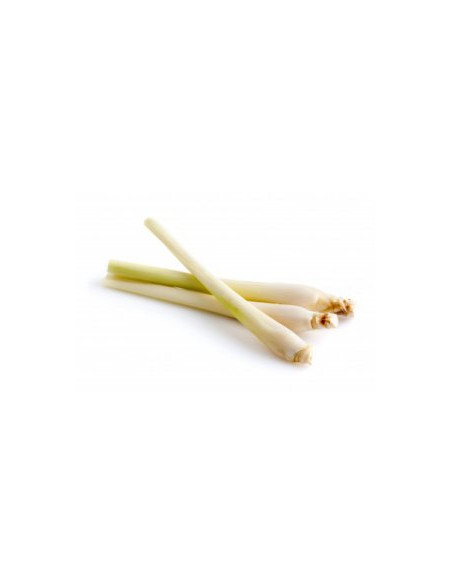 Lemongrass - Citronová tráva  50g, Salvia Paradise 1