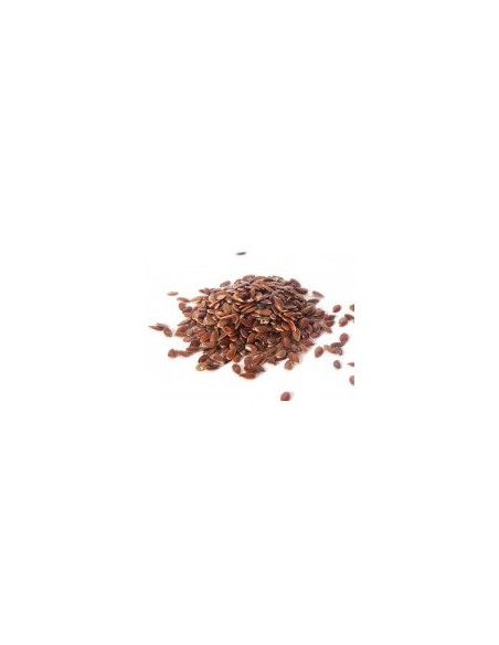 Lněné semínko  500g, Salvia Paradise