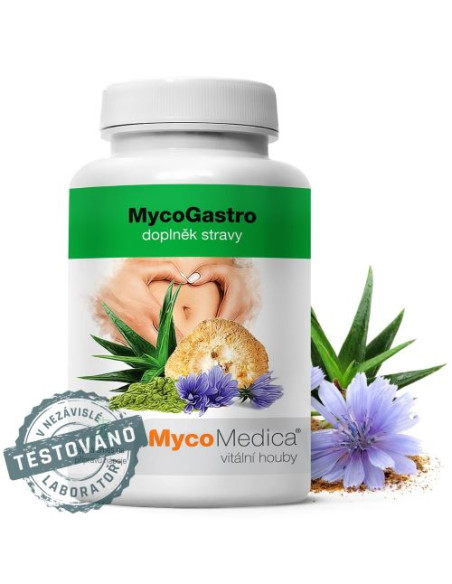 MycoMedica MycoGastro prášek 90 g