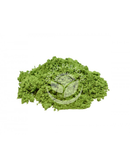 Zelený mladý ječmen prášek 1 kg, Salvia Paradise 1