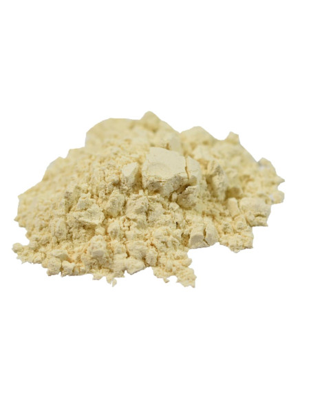 Ženšen pravý kořen - prášek  75g, Salvia Paradise 1