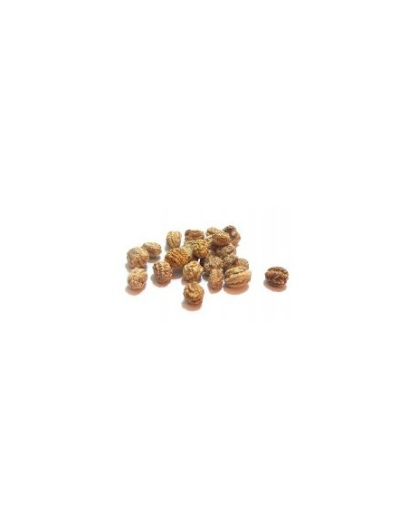 Lichořeřišnice větší plod  70g, Salvia Paradise 1