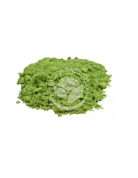 Salvia Paradise Mladá zelená pšenice 200 g 1