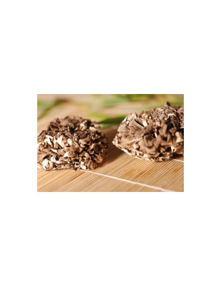 Maitake (Trsnatec lupenitý) 90 x 500mg, MycoMedica 1