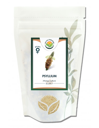 Psyllium bílé - vláknina  100g, Salvia Paradise