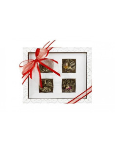 Asteria bílá - set kvetoucích čajů