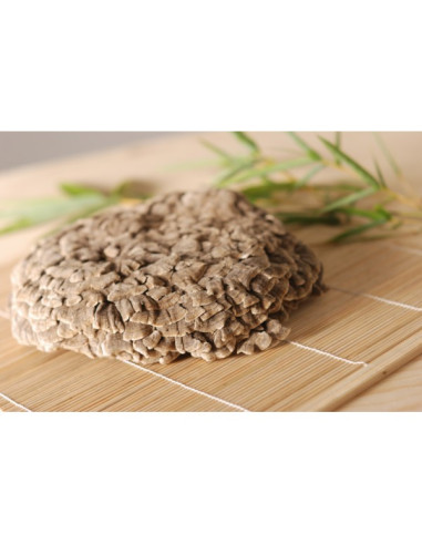 Coriolus (Outkovka pestrá) 90 kapslí á 500 mg extraktu MycoMedica houba