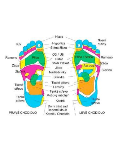 Detoxikační náplasti GOLD 14 ks reflexní body