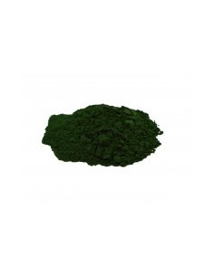 Chlorella 1 kg HQ - dezintegrovaná - prášek, Salvia Paradise 2