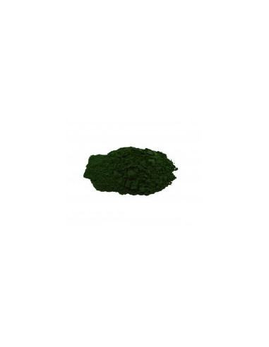 Chlorella (Chlorela) prášek 1 kg - dezintegrovaná 100% HQ, Salvia Paradise 1