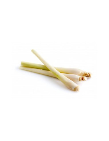 Lemongrass - Citronová tráva  50g, Salvia Paradise 1