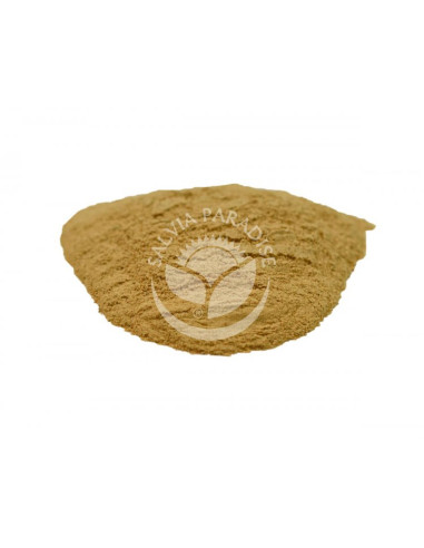 Maca peruánská, Maka, Lepidium meyenii  prášek 1000g, Salvia Paradise 1