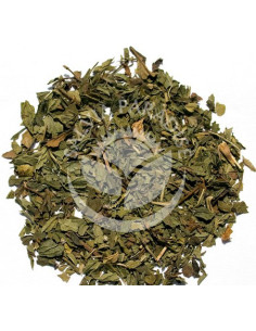 Salvia Paradise Marocká máta 50 g 2