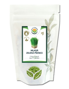 Mladá zelená pšenice 1000 g - prášek, Salvia Paradise
