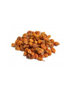 Rakytník řešetlákový plod sušený 100g, Salvia Paradise 2