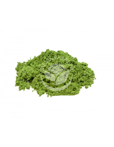 Mladý ječmen prášek 100g, Salvia Paradise 1