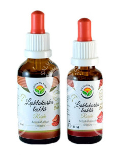 Reishi - Lesklokorka lesklá AF tinktura