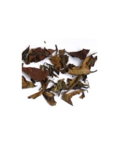 Salvia Paradise Shou mei special Obočí dlouhého věku 70 g 2