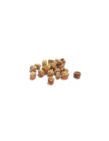 Lichořeřišnice větší plod  70g, Salvia Paradise 1