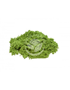 Salvia Paradise Mladý zelený ječmen Bio 500 g 2