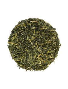 Green Earl grey Salvia Paradise 2