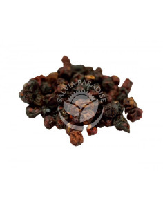 Salvia Paradise schizandra čínská plod dongbei 100 g 2