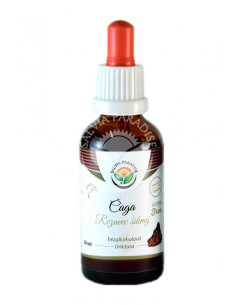 Salvia Paradise Čaga Rezavec šikmý AF tinktura 50 ml