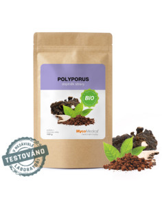 MycoMedica Polyporus prášek 100 g 2
