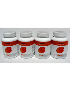 Reishi (Lesklokorka lesklá) 4 x 90 kapslí, Mycomedica 1