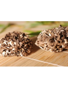 Maitake 2 x 90 kapslí MycoMedica 2