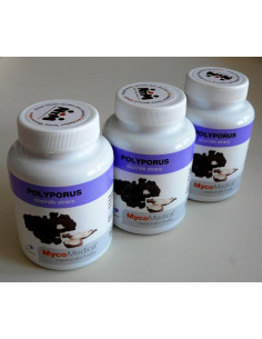 MycoMedica Polyporus 3 x 90 kapslí 