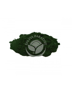 Salvia Paradise Spirulina 100% prášek BIO 1000 g 2