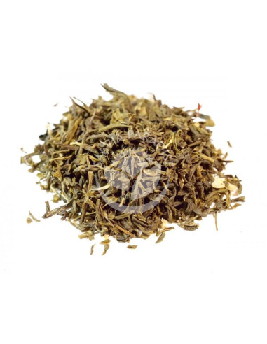 Salvia Paradise China Jasmine Chung Hao 