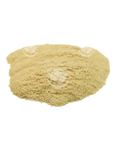 Salvia Paradise Ašvaganda kořen mletý BIO 250 g 2