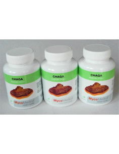 Chaga (Čaga) 3 x 90 kapslí, MycoMedica