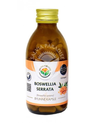 Salvia Paradise Boswellia serrata - kadidlovník 120 kapslí