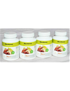 MycoMedica MycoSomat 2 x 90 tobolek