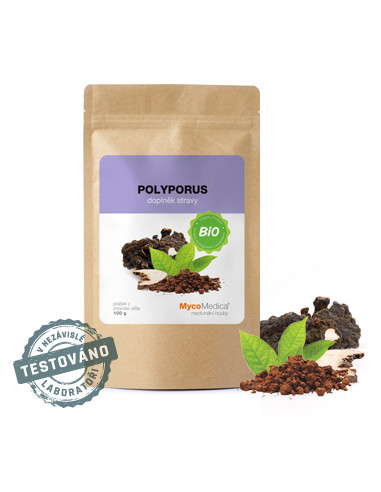 MycoMedica Polyporus prášek 100 g 1