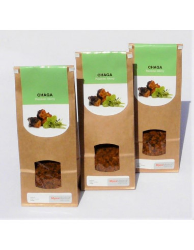 MycoMedica Chaga sušená 3 x 100 g