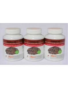 Mycomedica Coriolus 50 %  3 x 90 kapslí