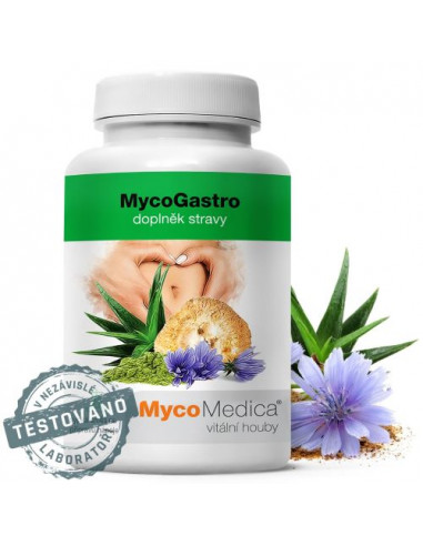 MycoMedica MycoGastro prášek 90 g