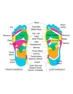 Bio-Detox Detoxikační náplasti 2in1  3 x 7 balení  2