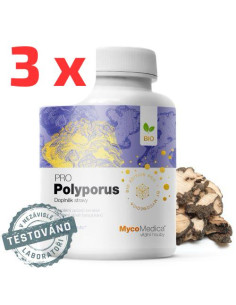 MycoMedica Polyporus PRO 3 x 90 kapslí 
