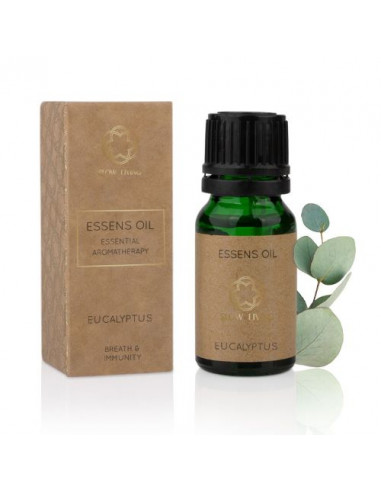 ESSENS Esenciální olej - eukalyptus 10 ml