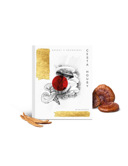 Cesta houby: Návrat k rovnováze