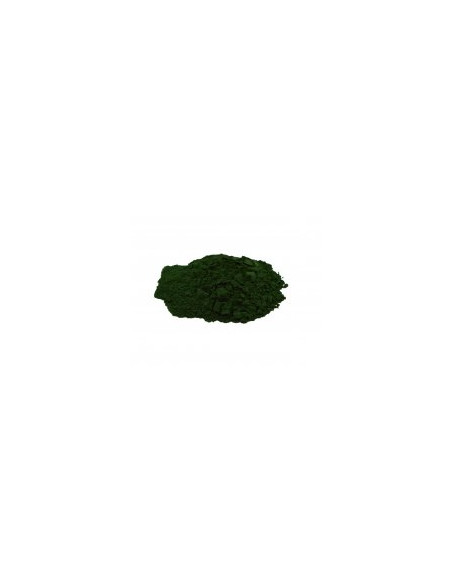 Chlorella (Chlorela) prášek 1 kg - dezintegrovaná 100% HQ, Salvia Paradise 1
