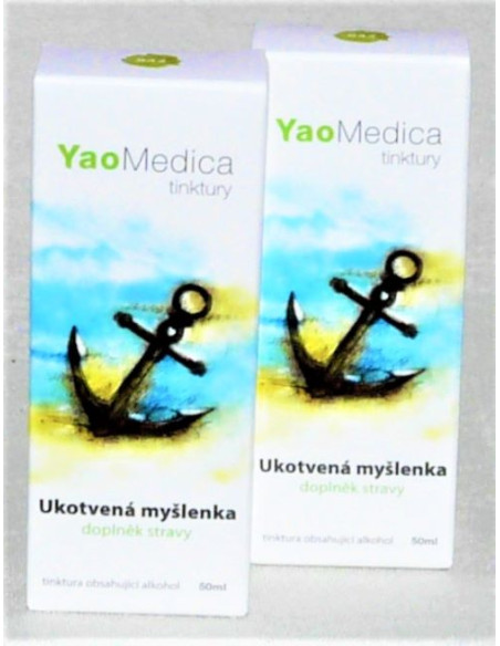 YaoMedica 042 - Ukotvená myšlenka 2 x 50 ml