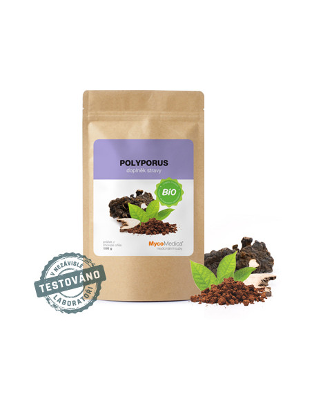 MycoMedica Polyporus prášek 100 g 1